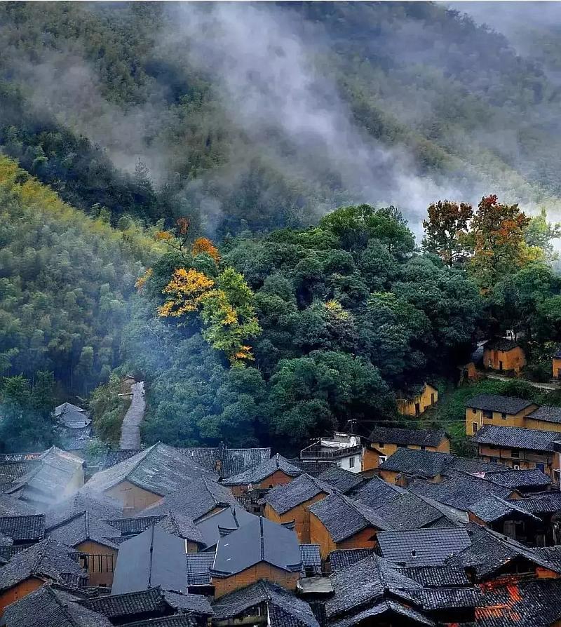 绿意盎然