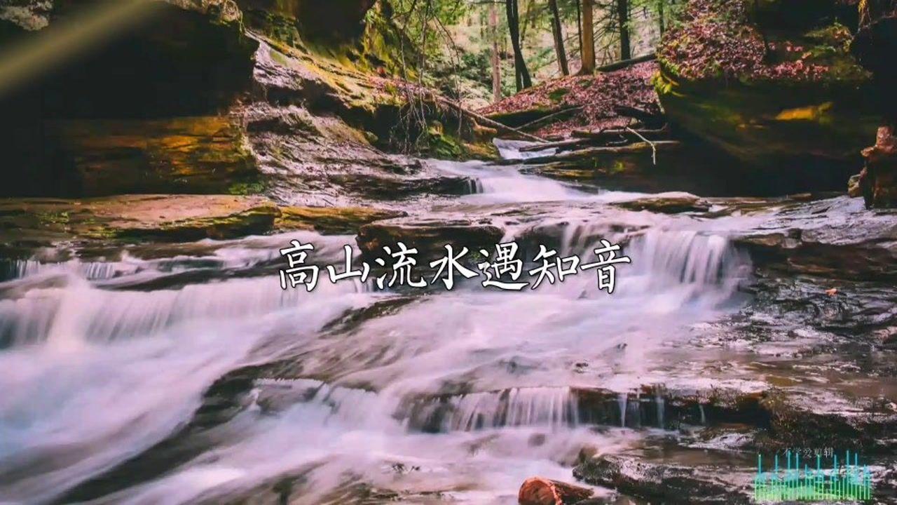 救援花卉销售员